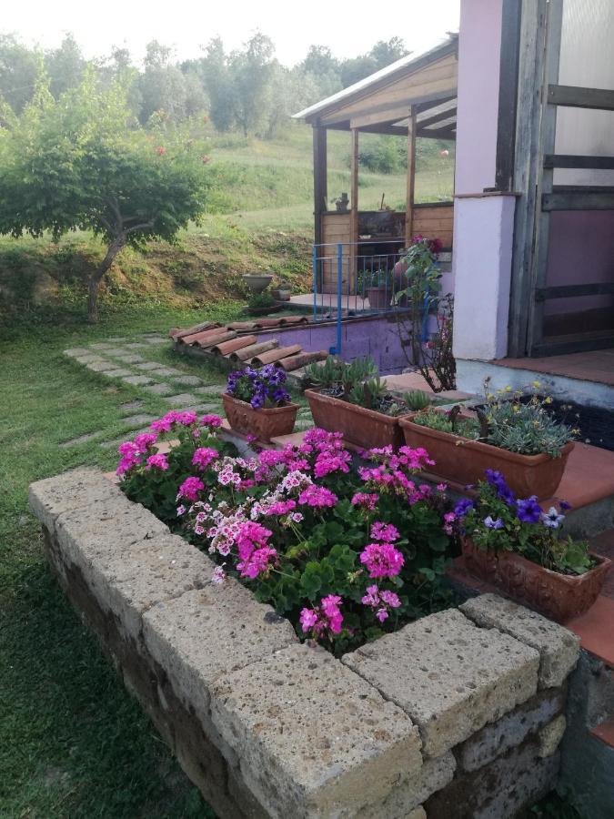 Agriturismo Campolungo Sant'Ermo Exterior foto