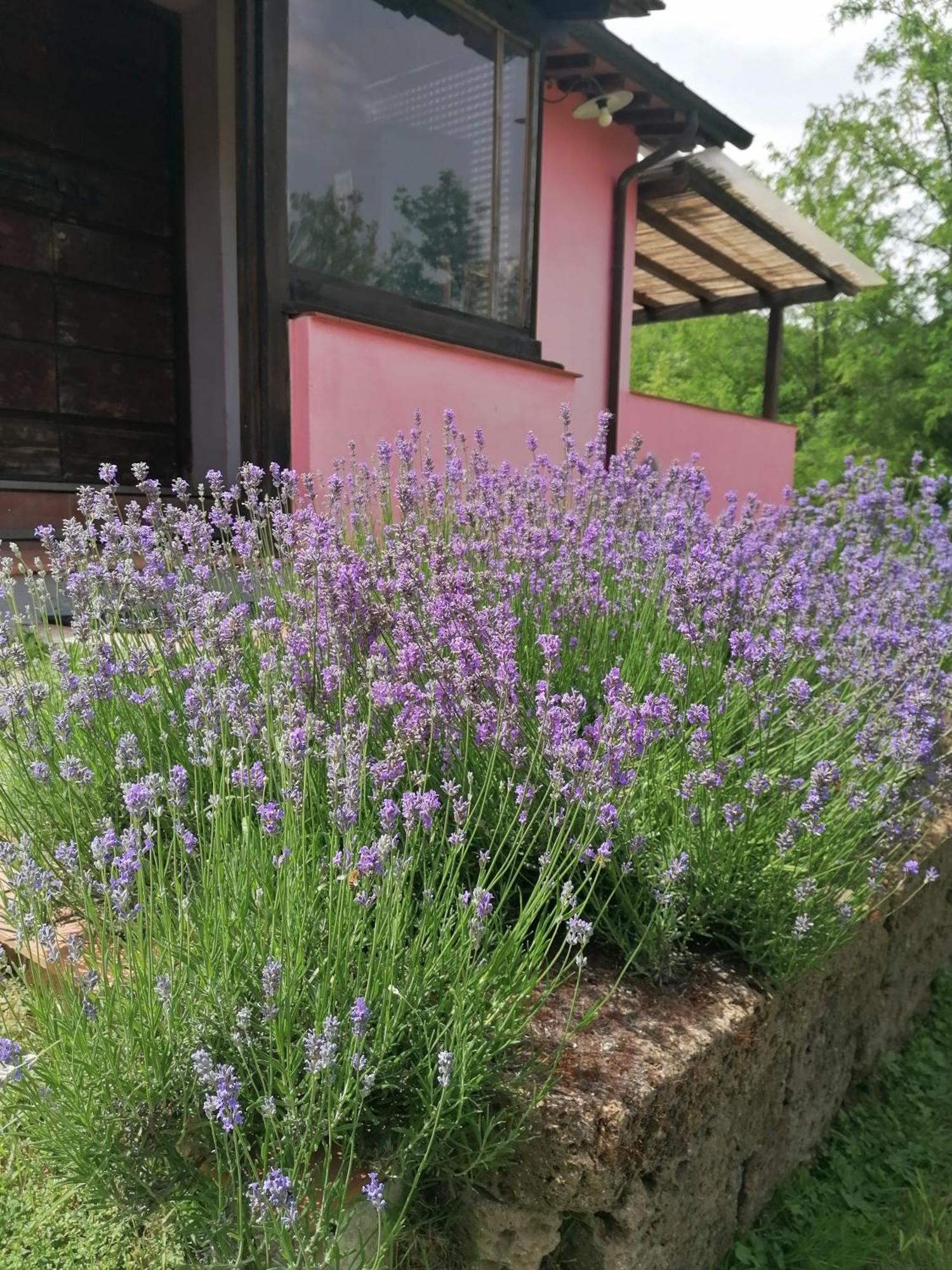 Agriturismo Campolungo Sant'Ermo Exterior foto